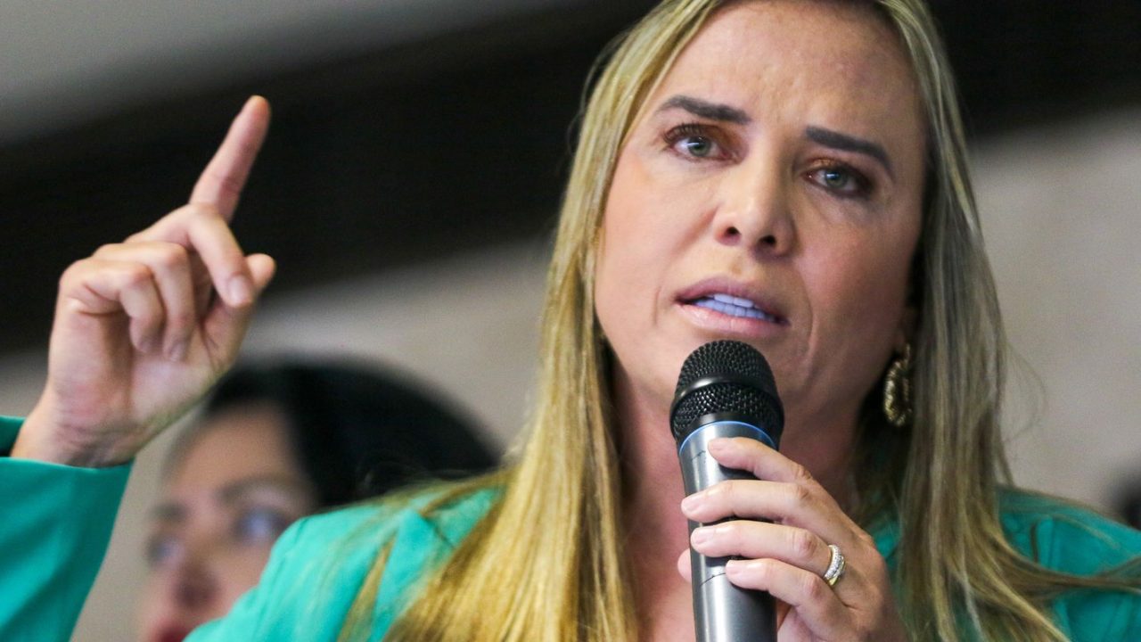Celina Leão em evento oficial no Distrito Federal