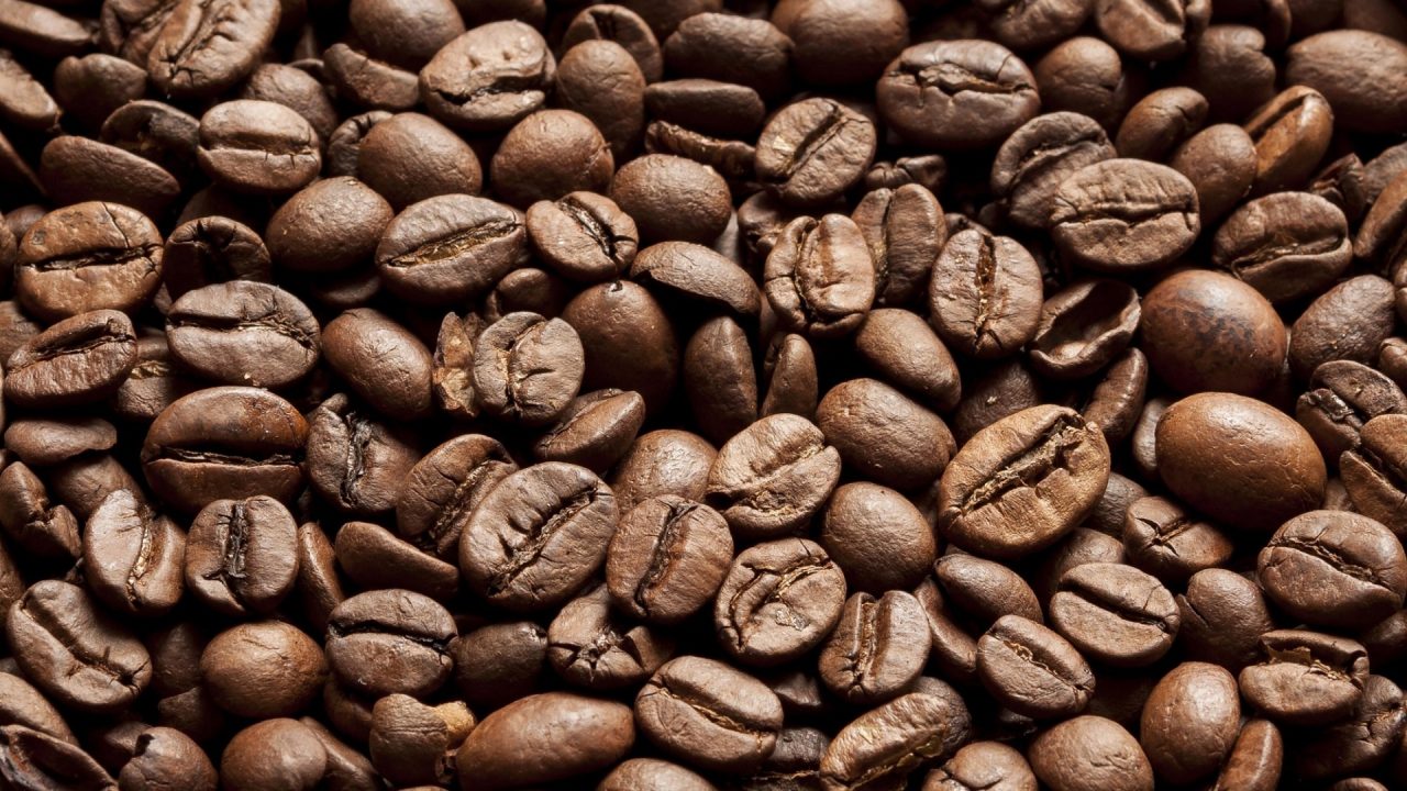 Grãos de café arábica e conilon ao lado de um copo de café