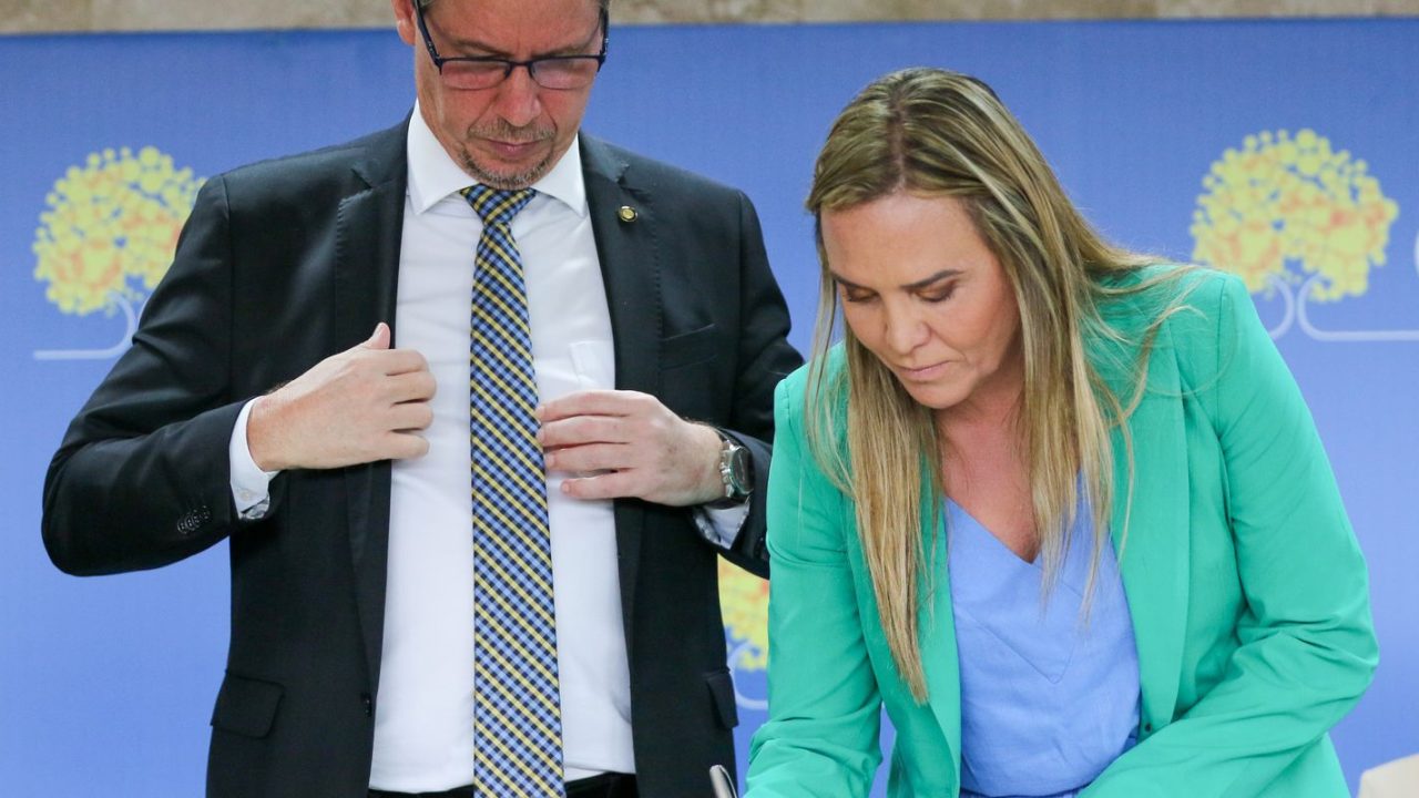 Celina Leão em evento oficial no Distrito Federal