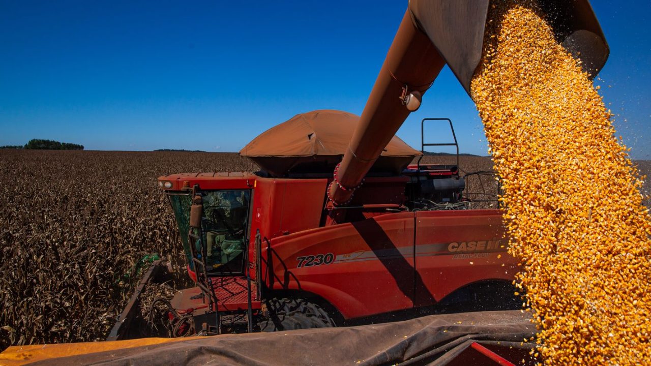 Campo de soja com máquinas de colheita, representando a safra recorde de 2026 no Brasil
