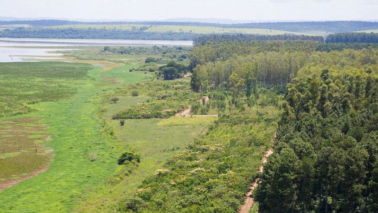 Áreas de vegetação nativa fragmentadas por estradas e agricultura em Minas Gerais